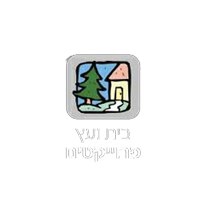 ניתן 6